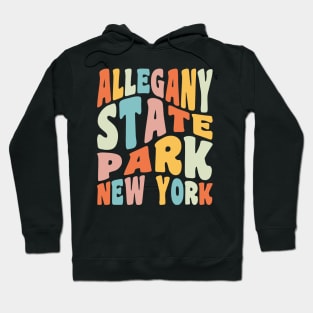 Allegany State Park New York Camping Hiking Retro Vintage Hoodie